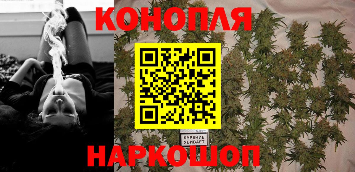 Бошки Шишки сатива Крымск